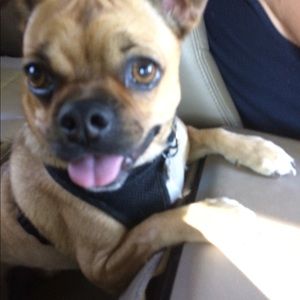 Meet your Posher, Brenda